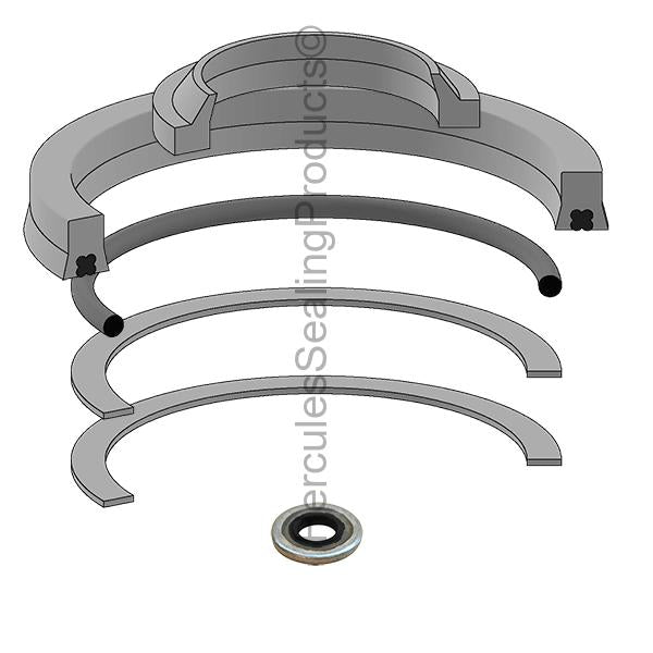 Allis-Chalmers 4918585 Seal Kit