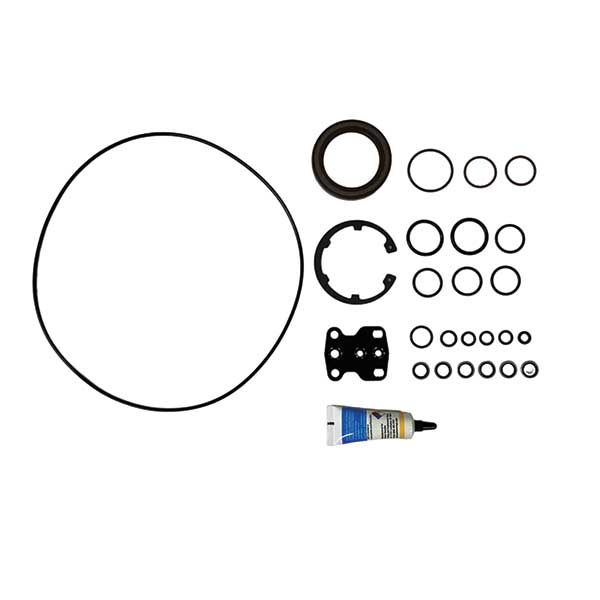 Bosch R910915847 Pump, Motor and Valve Kit