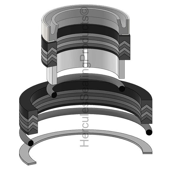 Ford 309938 Seal Kit