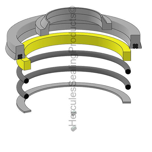P 1100P351F7 Seal Kit