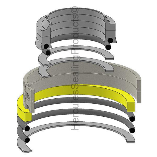 P 1100P381F1 Seal Kit